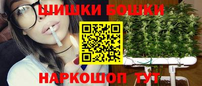 сатива Кингисепп