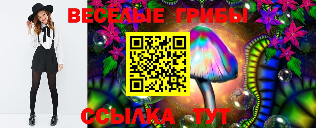 где купить   Галлюциногенные грибы ЛСД  Вход с VPN  Конаково 